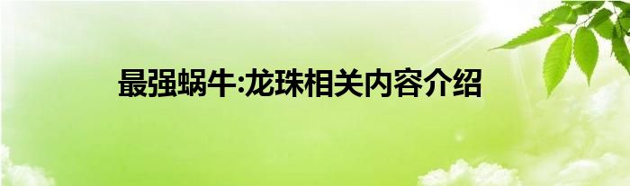 最强蜗牛:龙珠相关内容介绍