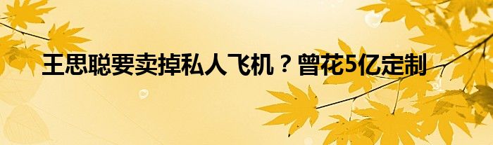 王思聪要卖掉私人飞机？曾花5亿定制