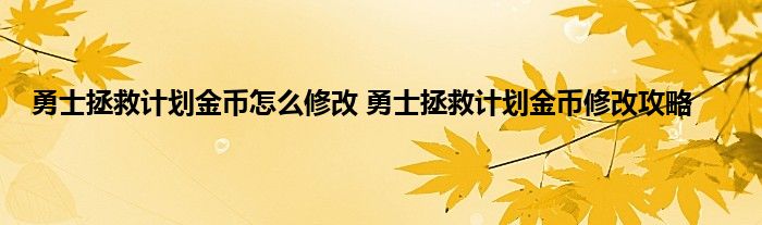 勇士拯救计划金币怎么修改 勇士拯救计划金币修改攻略