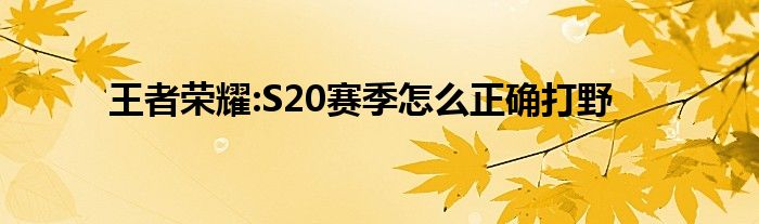 王者荣耀:S20赛季怎么正确打野