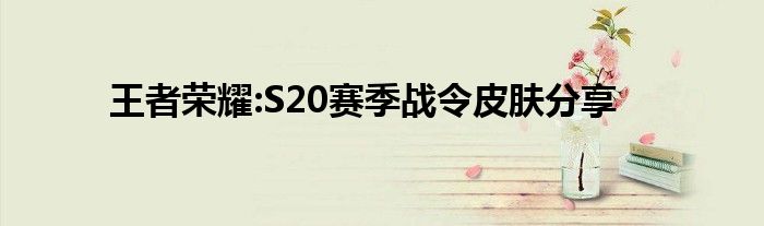 王者荣耀:S20赛季战令皮肤分享