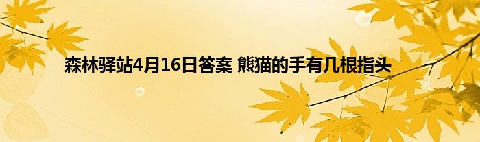 森林驿站4月16日答案 熊猫的手有几根指头