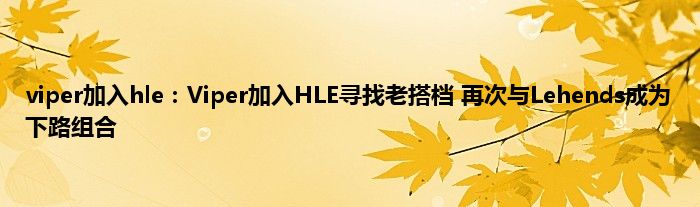 viper加入hle：Viper加入HLE寻找老搭档 再次与Lehends成为下路组合