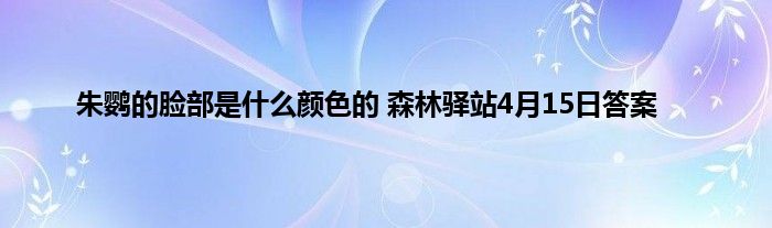 朱鹦的脸部是什么颜色的 森林驿站4月15日答案