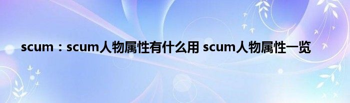 scum：scum人物属性有什么用 scum人物属性一览