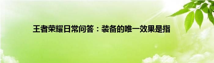 王者荣耀日常问答：装备的唯一效果是指