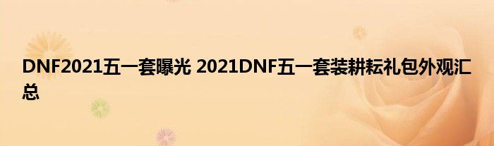 DNF2021五一套曝光 2021DNF五一套装耕耘礼包外观汇总