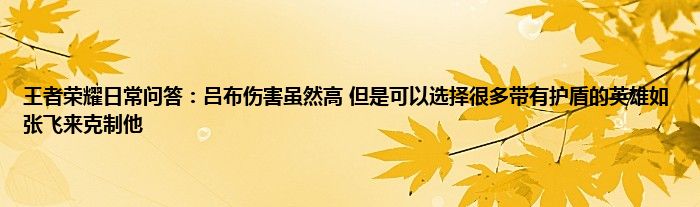 王者荣耀日常问答：吕布伤害虽然高 但是可以选择很多带有护盾的英雄如张飞来克制他