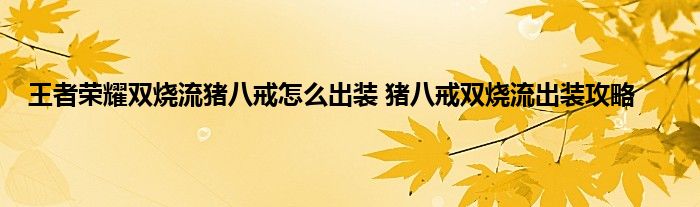 王者荣耀双烧流猪八戒怎么出装 猪八戒双烧流出装攻略