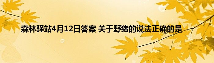 森林驿站4月12日答案 关于野猪的说法正确的是