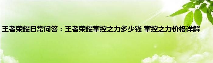 王者荣耀日常问答：王者荣耀掌控之力多少钱 掌控之力价格详解