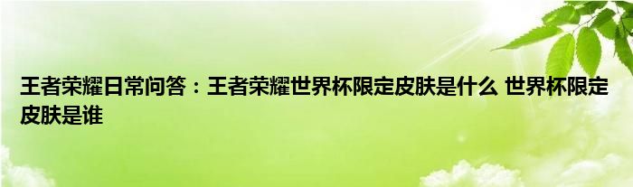 王者荣耀日常问答：王者荣耀世界杯限定皮肤是什么 世界杯限定皮肤是谁