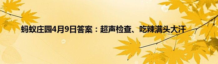 蚂蚁庄园4月9日答案：超声检查、吃辣满头大汗