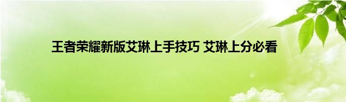 王者荣耀新版艾琳上手技巧 艾琳上分必看