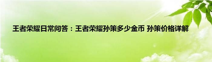 王者荣耀日常问答：王者荣耀孙策多少金币 孙策价格详解