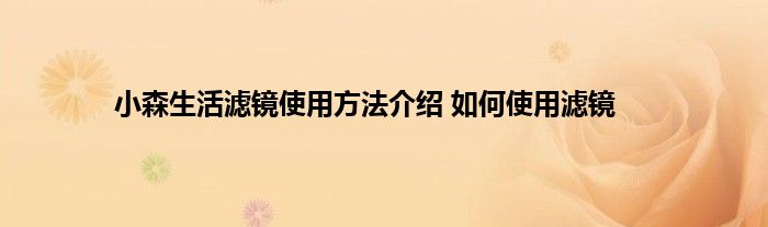 小森生活滤镜使用方法介绍 如何使用滤镜