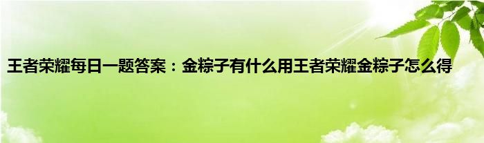 王者荣耀每日一题答案：金粽子有什么用王者荣耀金粽子怎么得