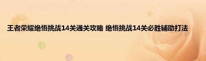 王者荣耀绝悟挑战14关通关攻略 绝悟挑战14关必胜辅助打法