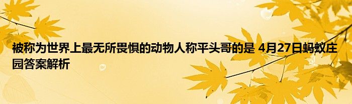 被称为世界上最无所畏惧的动物人称平头哥的是 4月27日蚂蚁庄园答案解析