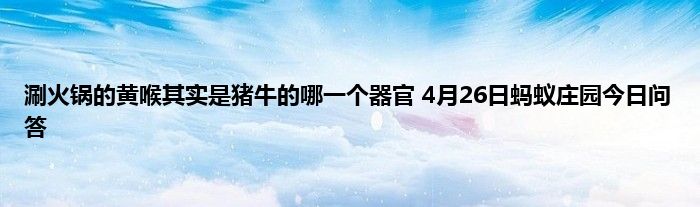 涮火锅的黄喉其实是猪牛的哪一个器官 4月26日蚂蚁庄园今日问答