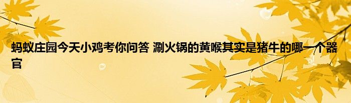 蚂蚁庄园今天小鸡考你问答 涮火锅的黄喉其实是猪牛的哪一个器官