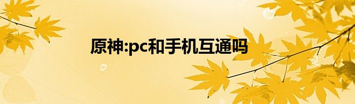 原神:pc和手机互通吗