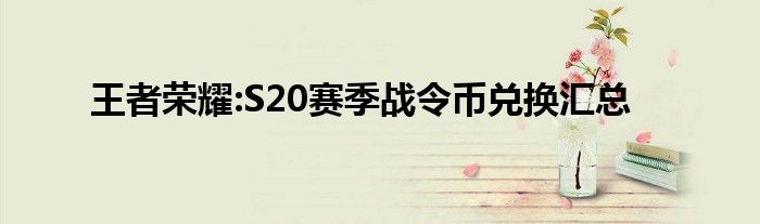 王者荣耀:S20赛季战令币兑换汇总