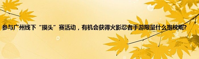 参与广州线下“摸头”赛活动，有机会获得火影忍者手游限量什么抱枕呢?