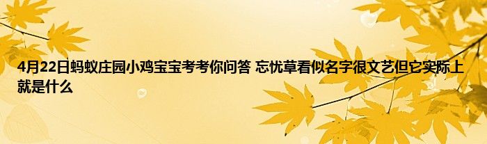 4月22日蚂蚁庄园小鸡宝宝考考你问答 忘忧草看似名字很文艺但它实际上就是什么