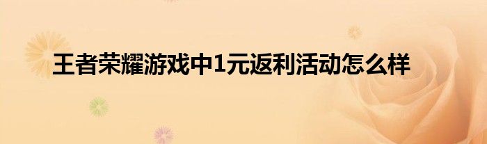 王者荣耀游戏中1元返利活动怎么样