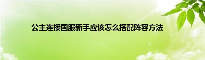 公主连接国服新手应该怎么搭配阵容方法