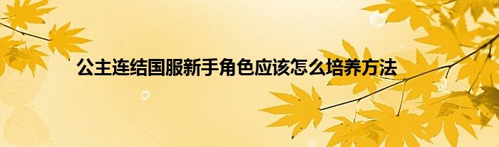 公主连结国服新手角色应该怎么培养方法