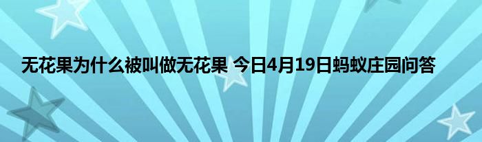 无花果为什么被叫做无花果 今日4月19日蚂蚁庄园问答