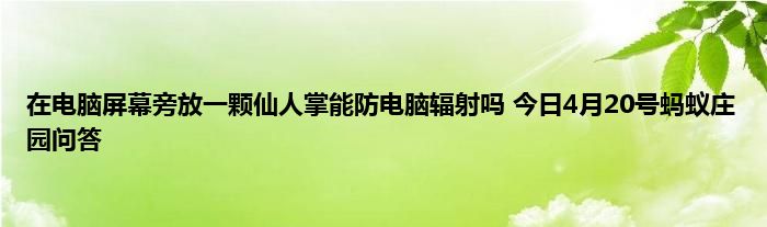 在电脑屏幕旁放一颗仙人掌能防电脑辐射吗 今日4月20号蚂蚁庄园问答