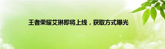 王者荣耀艾琳即将上线，获取方式曝光