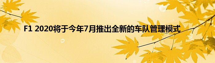 F1 2020将于今年7月推出全新的车队管理模式