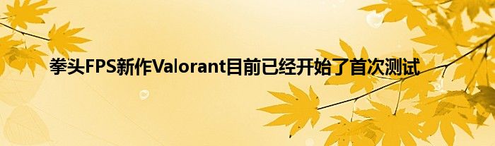 拳头FPS新作Valorant目前已经开始了首次测试