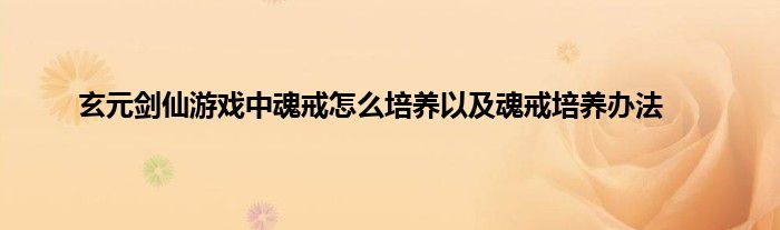 玄元剑仙游戏中魂戒怎么培养以及魂戒培养办法