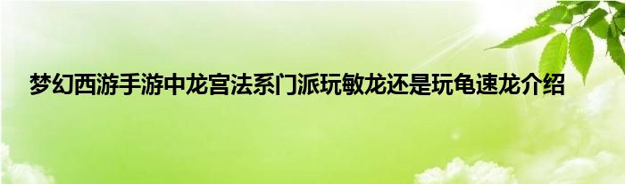 梦幻西游手游中龙宫法系门派玩敏龙还是玩龟速龙介绍