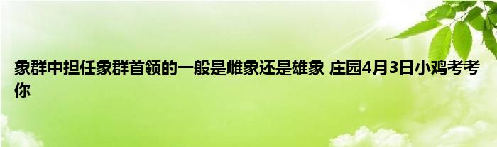 象群中担任象群首领的一般是雌象还是雄象 庄园4月3日小鸡考考你