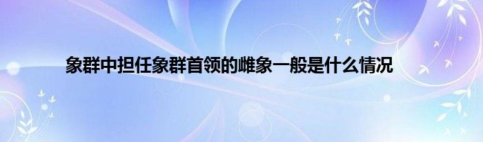 象群中担任象群首领的雌象一般是什么情况