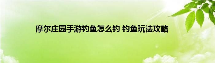 摩尔庄园手游钓鱼怎么钓 钓鱼玩法攻略