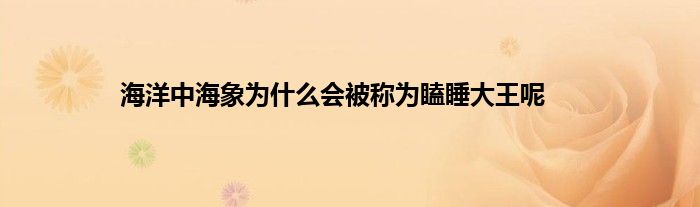 海洋中海象为什么会被称为瞌睡大王呢