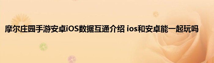 摩尔庄园手游安卓iOS数据互通介绍 ios和安卓能一起玩吗