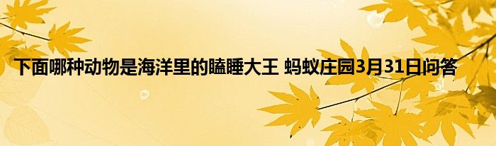 下面哪种动物是海洋里的瞌睡大王 蚂蚁庄园3月31日问答