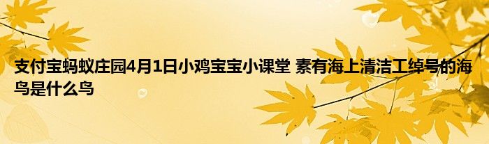 支付宝蚂蚁庄园4月1日小鸡宝宝小课堂 素有海上清洁工绰号的海鸟是什么鸟