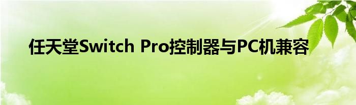 任天堂Switch Pro控制器与PC机兼容