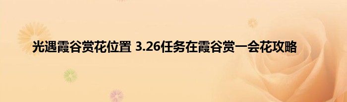 光遇霞谷赏花位置 3.26任务在霞谷赏一会花攻略