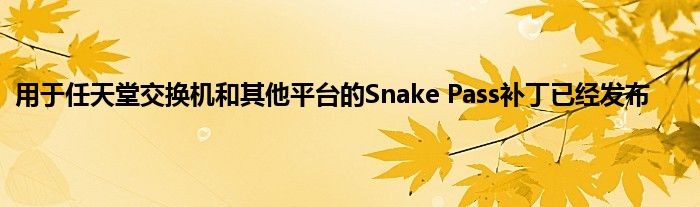 用于任天堂交换机和其他平台的Snake Pass补丁已经发布