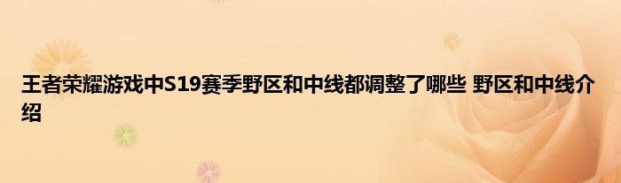 王者荣耀游戏中S19赛季野区和中线都调整了哪些 野区和中线介绍